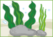 海藻ブレンド
